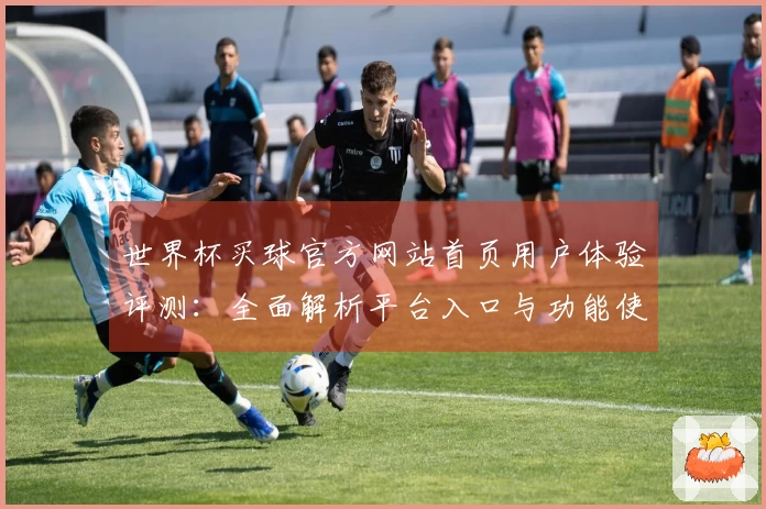 世界杯买球官方网站首页用户体验评测：全面解析平台入口与功能使用感受