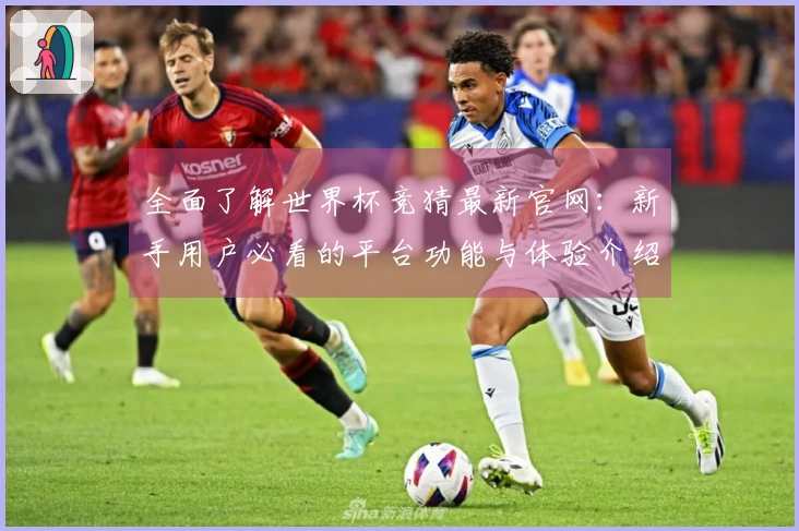 全面了解世界杯竞猜最新官网：新手用户必看的平台功能与体验介绍