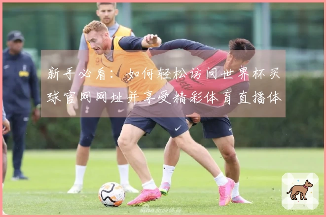 新手必看：如何轻松访问世界杯买球官网网址并享受精彩体育直播体验