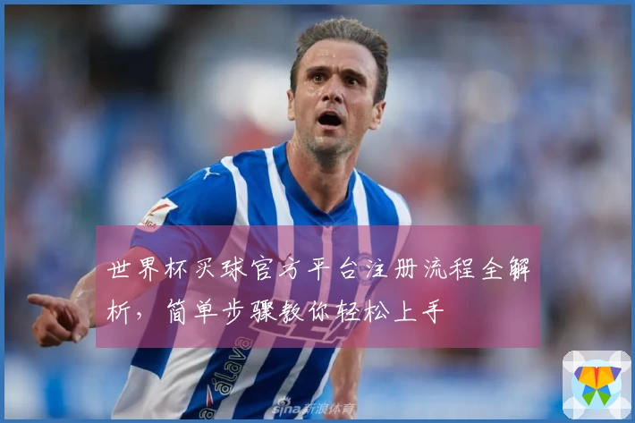 世界杯买球官方平台注册流程全解析，简单步骤教你轻松上手