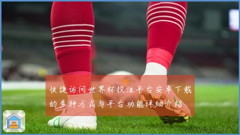 快捷访问世界杯投注平台安卓下载的多种方式与平台功能详细介绍