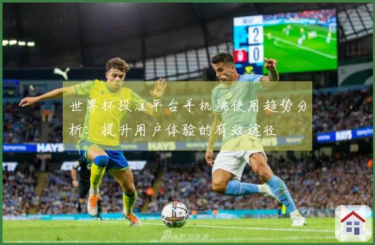 世界杯投注平台手机端使用趋势分析：提升用户体验的有效途径
